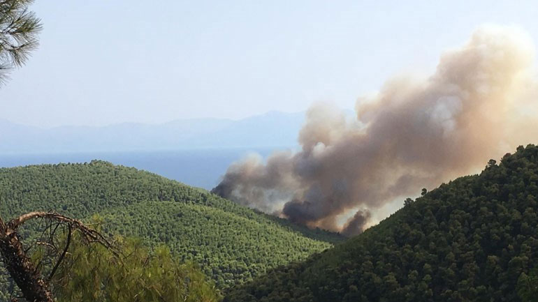 Δήμαρχος Σκοπέλου: «Μέχρι να πέσει το φως της ημέρας η πυρκαγιά θα έχει τεθεί υπό έλεγχο»