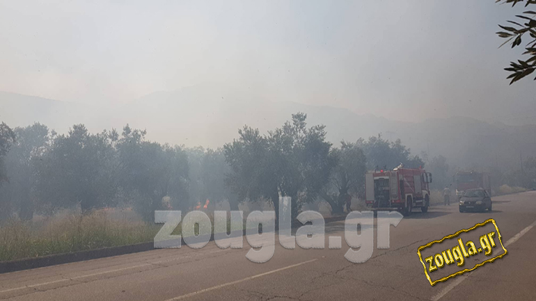 Σε εξέλιξη πυρκαγιά στον ελαιώνα της Άμφισσας Σε εξέλιξη πυρκαγιά στον ελαιώνα της Άμφισσας