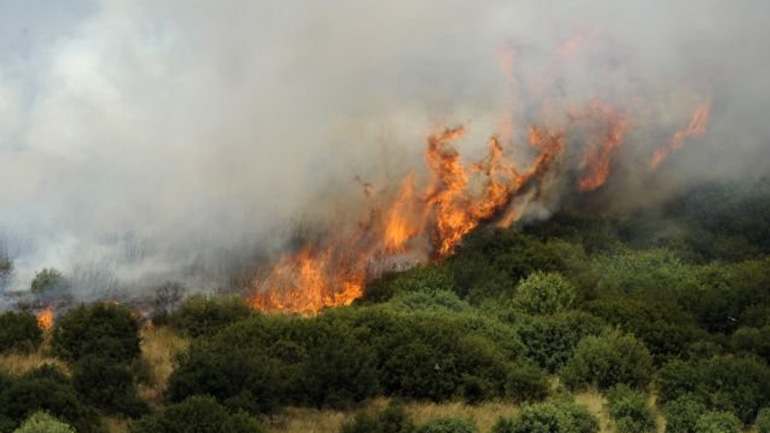 Πυρκαγιά ξέσπασε στον Άγιο Νικόλαο Φωκίδας
