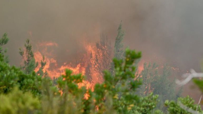 Χανιά: Σε εξέλιξη πυρκαγιά στον Αποκόρωνα