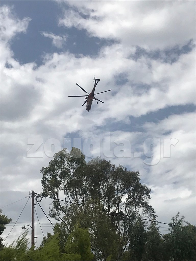 Φωτογραφία αναγνώστη