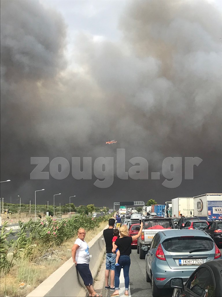 Φωτογραφία αναγνώστη