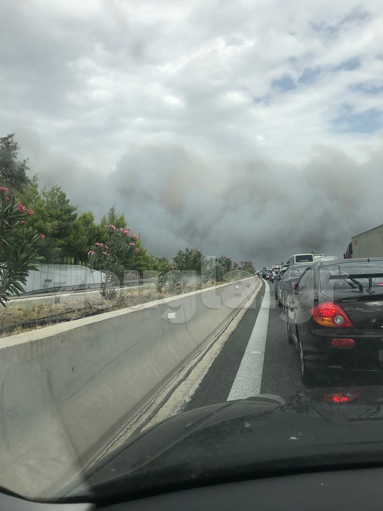 Φωτογραφία αναγνώστη