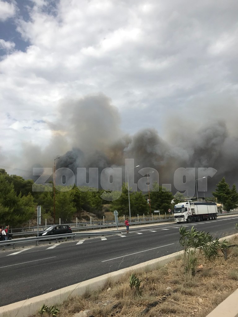 Φωτογραφία αναγνώστη