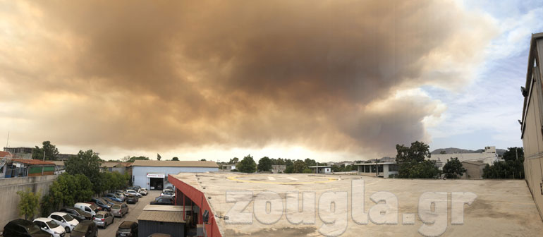Η φωτιά όπως φαίνεται από τον Ελαιώνα. Φωτογραφία αναγνώστη