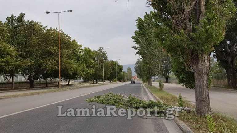 Λαμία: Έπεσαν σοβάδες και δέντρα λόγω των ισχυρών ανέμων