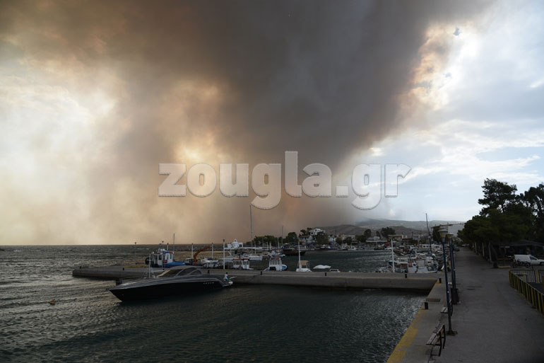 Πάχη Μεγάρων