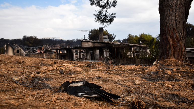 Πολιτική κόλαση μετά την πύρινη τραγωδία