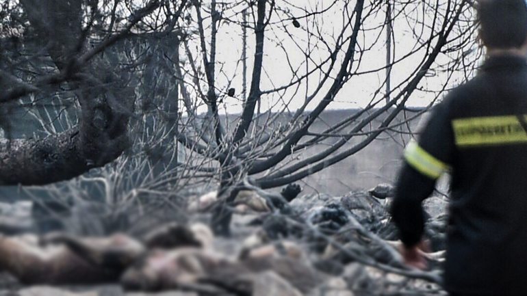 Εικόνες αποκάλυψης: Περισσότεροι από 50 οι νεκροί Εικόνες αποκάλυψης: Περισσότεροι από 50 οι νεκροί