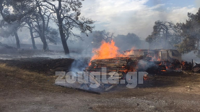 Πού υπάρχουν ενεργά μέτωπα – 47 πυρκαγιές εκδηλώθηκαν σε 24 ώρες