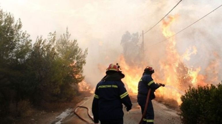 Θεσσαλονίκη: Συγκέντρωση ειδών πρώτης ανάγκης για τους πυρόπληκτους στην Αττική