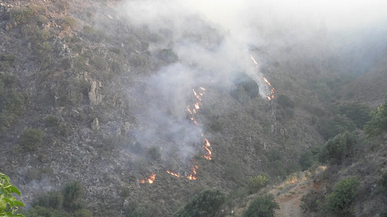 Χανιά: Σε ύφεση η πυρκαγιά στην περιοχή Κακόπετρο