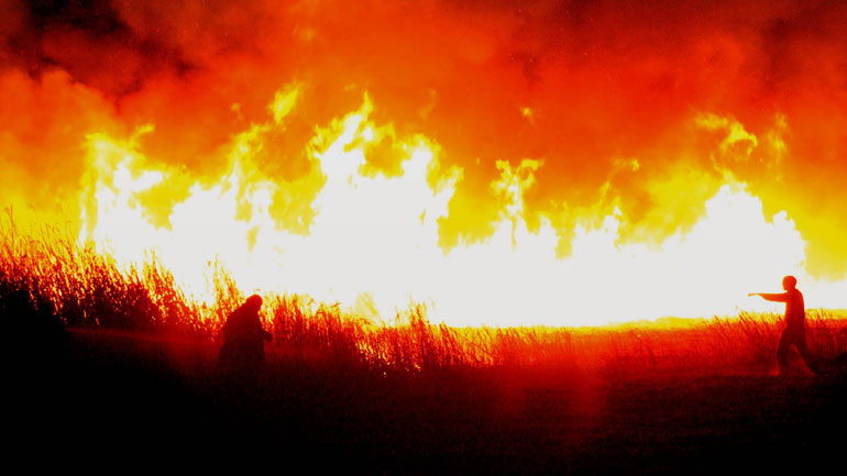 Το θεσμικό πλαίσιο απομάκρυνσης πολιτών λόγω δασικών πυρκαγιών – Ποιος ευθύνεται για την εντολή εκκένωσης