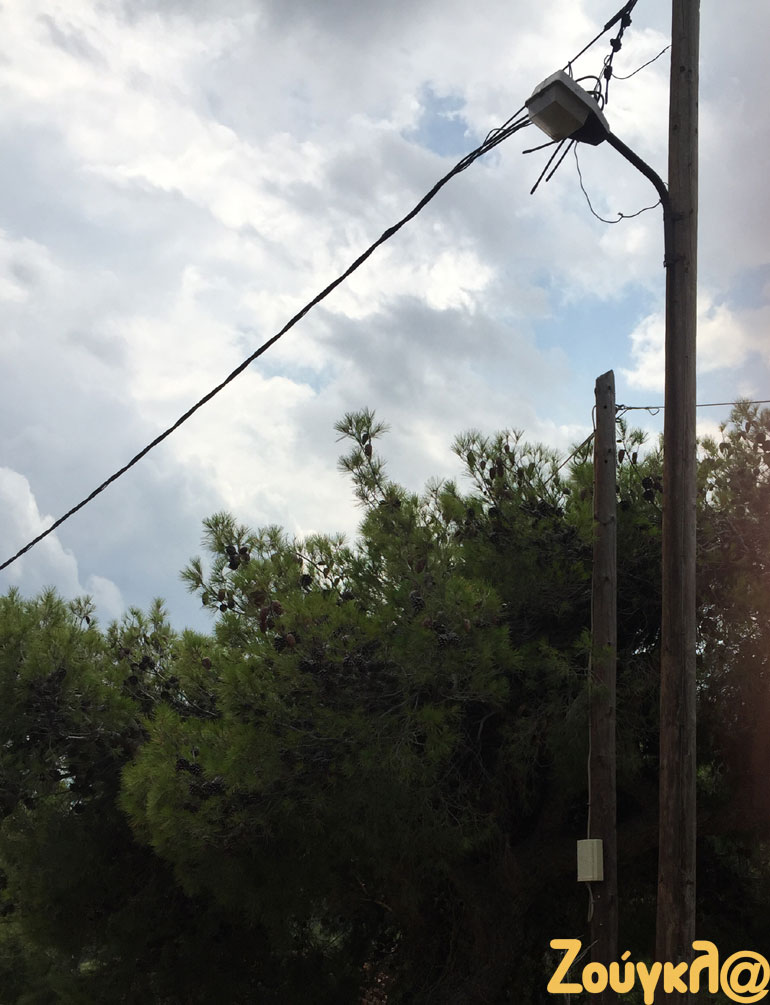 Σύμφωνα με κάποιες πρώτες εκτιμήσεις στελεχών της Πυροσβεστικής, η αίτια της πυρκαγιάς πιθανότατα οφείλεται στο δίκτυο της ΔΕΗ