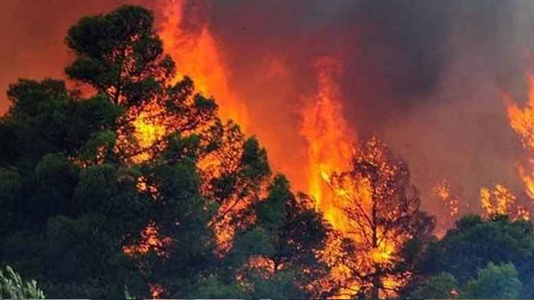 Το προφίλ 65χρονου που φέρεται να προκάλεσε τη φονική πυρκαγιά