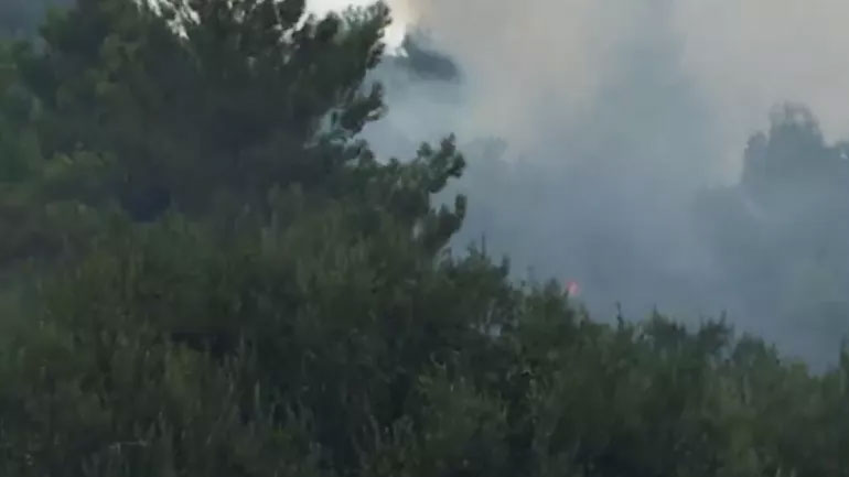 Υπό έλεγχο η φωτιά στα Ριζά Πρέβεζας