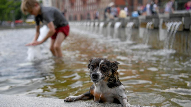 Εξαίρεση ή κανόνας πλέον οι καύσωνες;