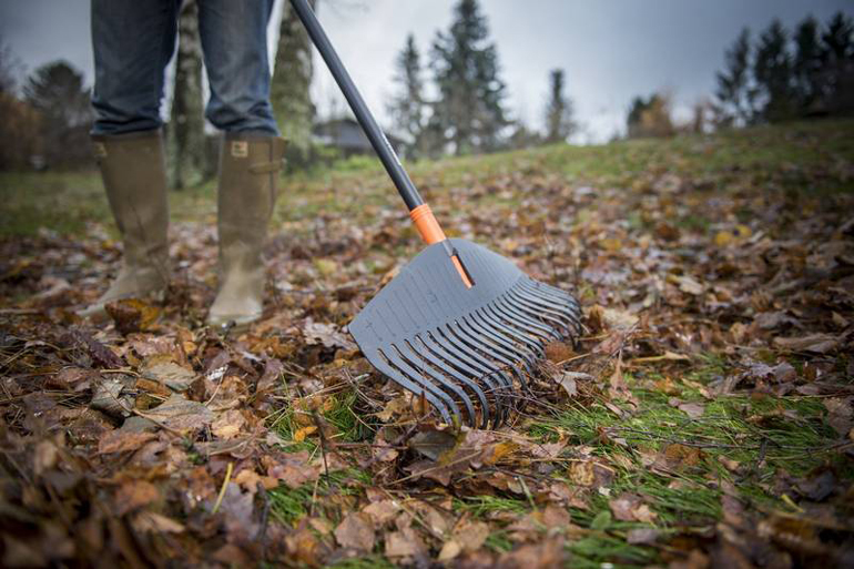 Το καλοκαίρι ήρθε... 'φωτογραφία για έναν πολύ φίλο που μου το ζήτησε'