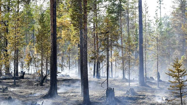 Σουηδία: Βελτιώνεται η κατάσταση με τις πυρκαγιές – Αποχωρούν οι Γάλλοι διασώστες