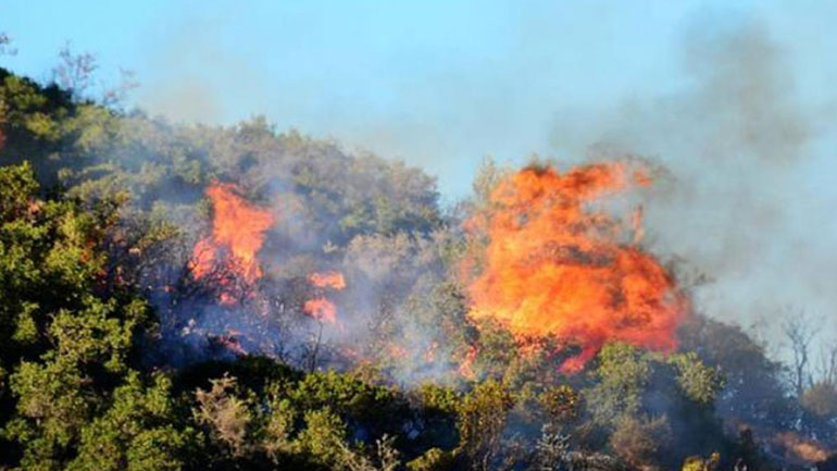 Υπό μερικό έλεγχο η φωτιά στη Ζάκυνθο
