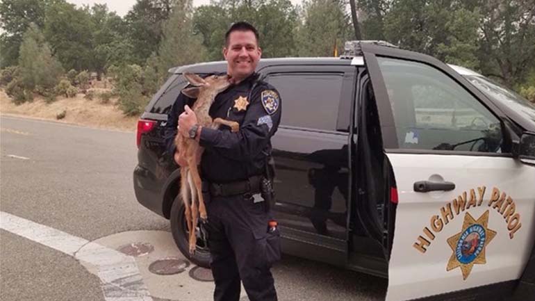 Ελαφάκι φιλά αστυνομικό που το έσωσε από τις φωτιές στην Καλιφόρνια