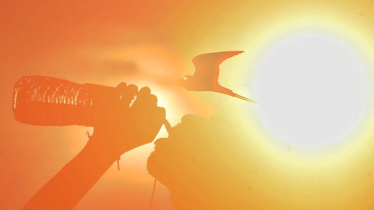 Έρχεται ο ”καύσωνας της χιλιετίας”