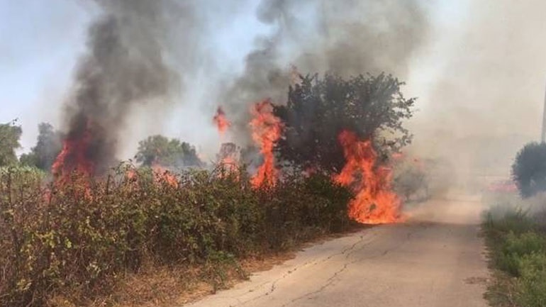 Ρέθυμνο: Υπό μερικό έλεγχο η φωτιά στις Μαλάδες Ηρακλείου