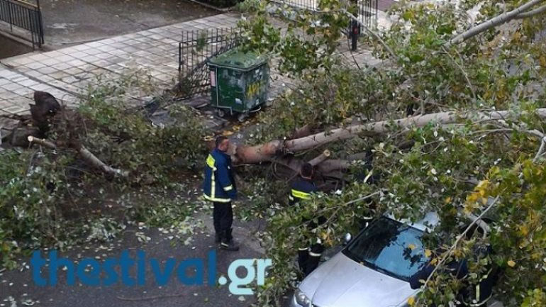 Πτώσεις δέντρων από την καταιγίδα στη Θεσσαλονίκη