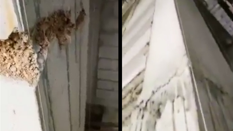 Μια όχι και τόσο αξιόπιστη οικοδομή