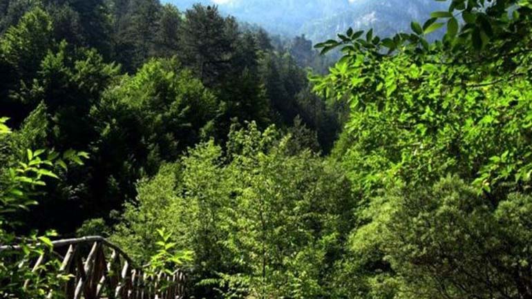 Πολύ υψηλός κίνδυνος πυρκαγιάς αύριο Δευτέρα σε Αττική και Εύβοια