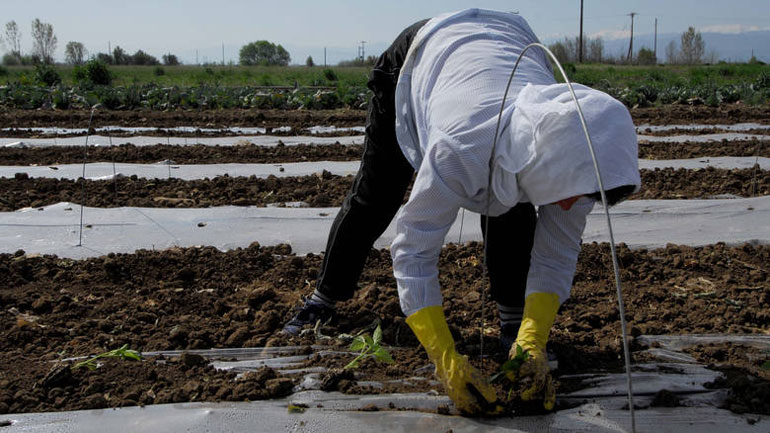 Ελβετία: Η κυβέρνηση προσφέρει βοήθεια στους αγρότες που πλήττονται από την ξηρασία