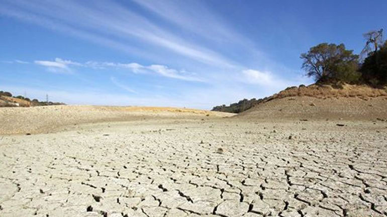 Καύσωνας και ξηρασία πλήττουν τον αγροτικό τομέα στην Ευρώπη