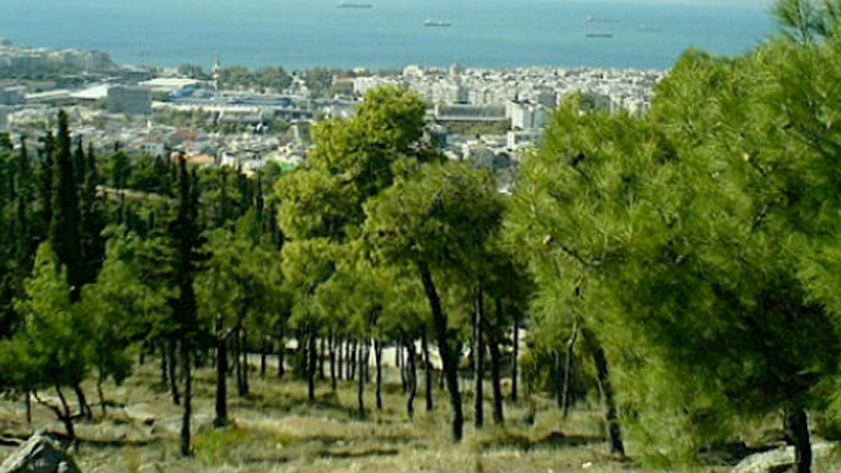 Θεσσαλονίκη: Εκστρατεία καθαρισμού τμήματος του δάσους του Σέιχ Σου
