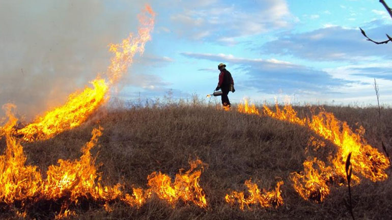 Σύλληψη 36χρονου για εμπρησμό στη Κεφαλονιά