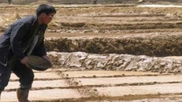 Κύμα καύσωνα στη Βόρεια Κορέα: Καταστροφές στις καλλιέργειες – Κίνδυνος για ευρεία επισιτιστική κρίση