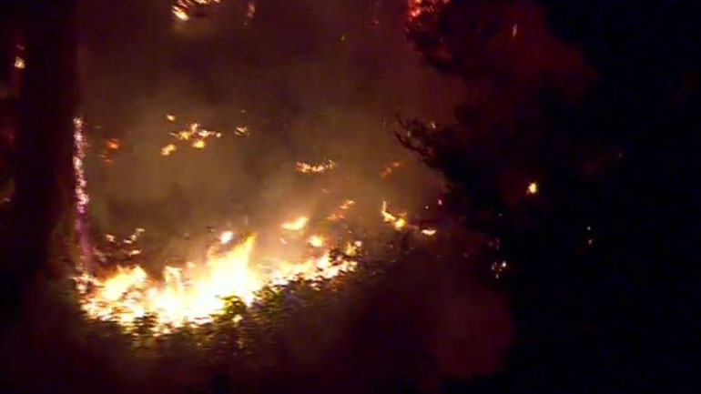 Νέες πληροφορίες για τον άνδρα που έκλεψε αεροσκάφος από το αεροδρόμιο του Σιάτλ