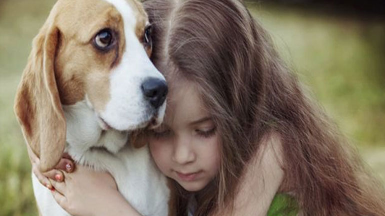 Ένας σκύλος αντιλαμβάνεται τη θλίψη του ιδιοκτήτη του
