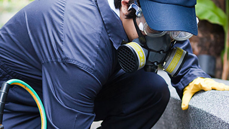 Δήμος Αθηναίων: Εντείνει τις απεντομώσεις και το πρόγραμμα απολύμανσης κάδων