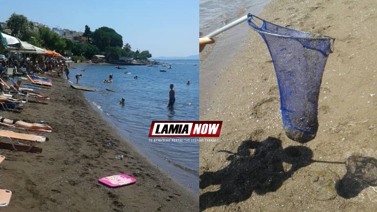 Λαμία: Λουόμενοι απομακρύνουν τις τσούχτρες με απόχες στην παραλία στις Ράχες
