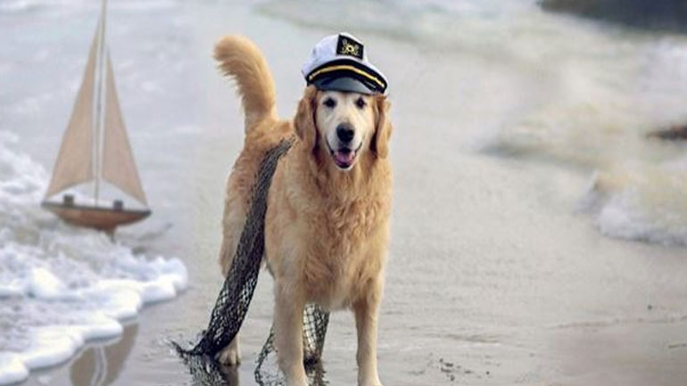 Πώς θα βοηθήσεις τον σκύλο σου να ξεφοβηθεί το νερό;