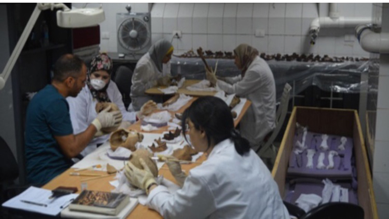 Οι σκελετοί δυο αντρών και μιας γυναίκας, ανακαλύφθηκε στην Αλεξάνδρεια της Αιγύπτου