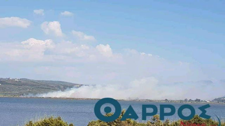 Φωτιά στη Γιάλοβα της Πύλου