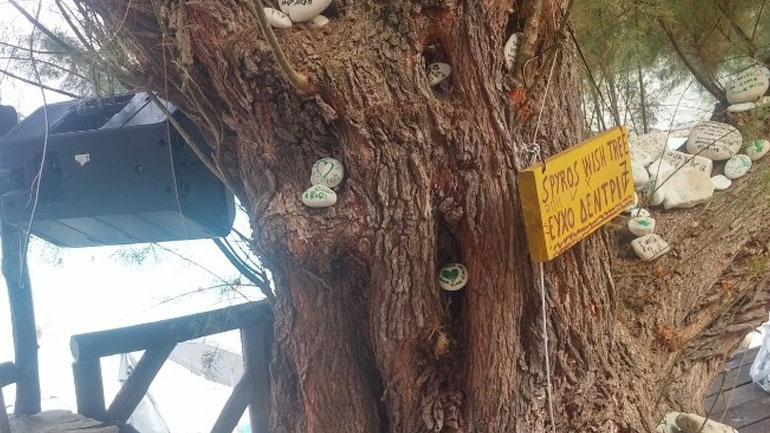 Αντίπαξοι: Μαγεύει τους τουρίστες το «δέντρο των ευχών» στην παραλία της Βρίκα