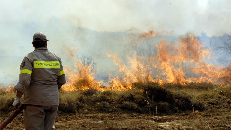 Έβρος: Πυρκαγιά σε δασική έκταση στην περιοχή Καβησό της Αλεξανδρούπολης