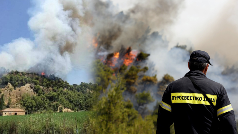 Αμαλιάδα: Μάχη με τις φλόγες σε δύο μέτωπα Αμαλιάδα: Μάχη με τις φλόγες σε δύο μέτωπα