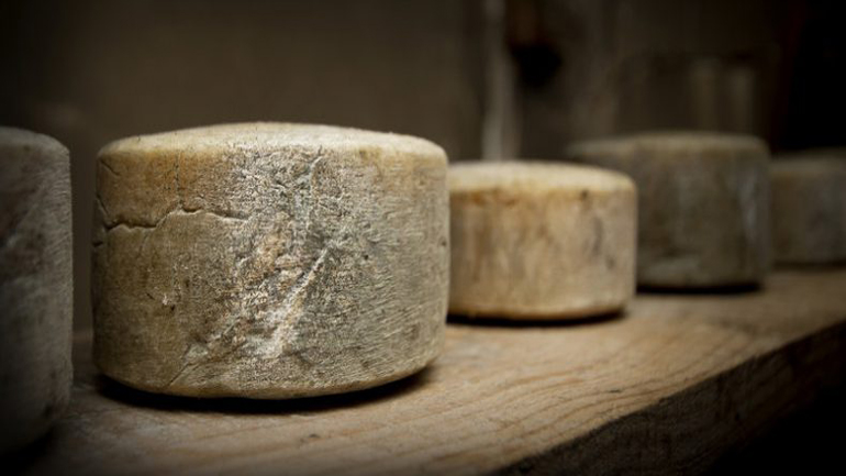 Εντοπίστηκε το αρχαιότερο τυρί του κόσμου