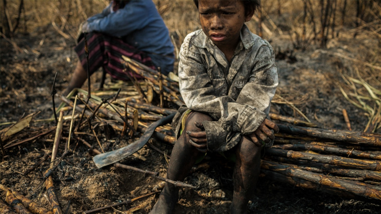 Βρετανία: Χιλιάδες «παιδιά – σκλάβοι» δουλεύουν σε παράνομες φυτείες κάνναβης στο Λονδίνο