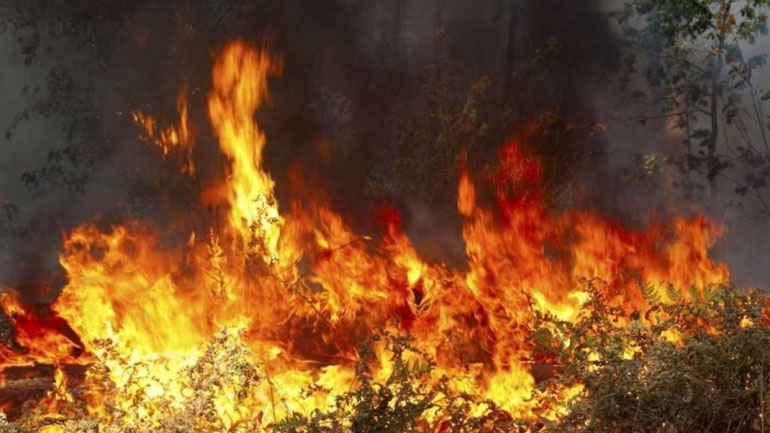 Σύλληψη ατόμων για εμπρησμoύς στην Ηλεία