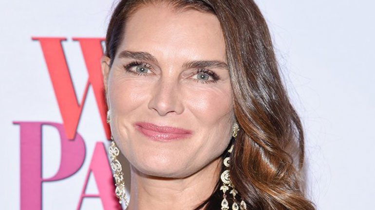 Μπρουκ Σιλντς: «Καλύτερα γυμνό μοντέλο, παρά να ζωγραφίσω»