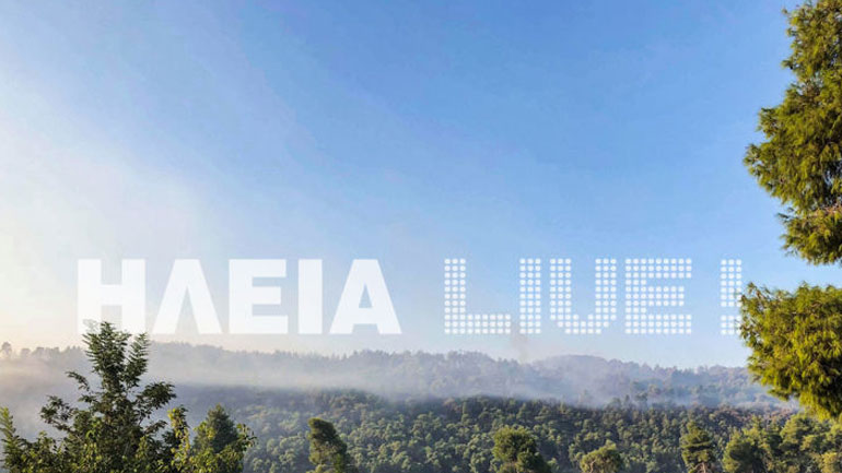 Δαφνιώτισσα: Συνεχίζεται η «μάχη» με τις φλόγες – Καλύτερη η εικόνα της πυρκαγιάς